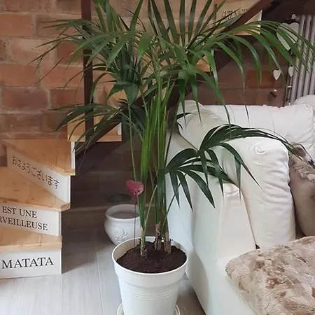 Appartement Charming In With Private Balcony - 130 Sq M *
