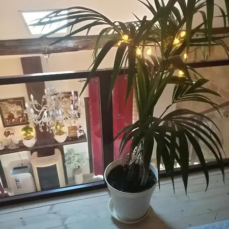Appartement Charming In With Private Balcony - 130 Sq M